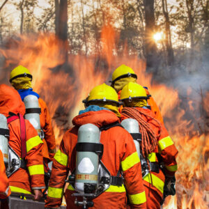 firefighters walking towards a forest fire